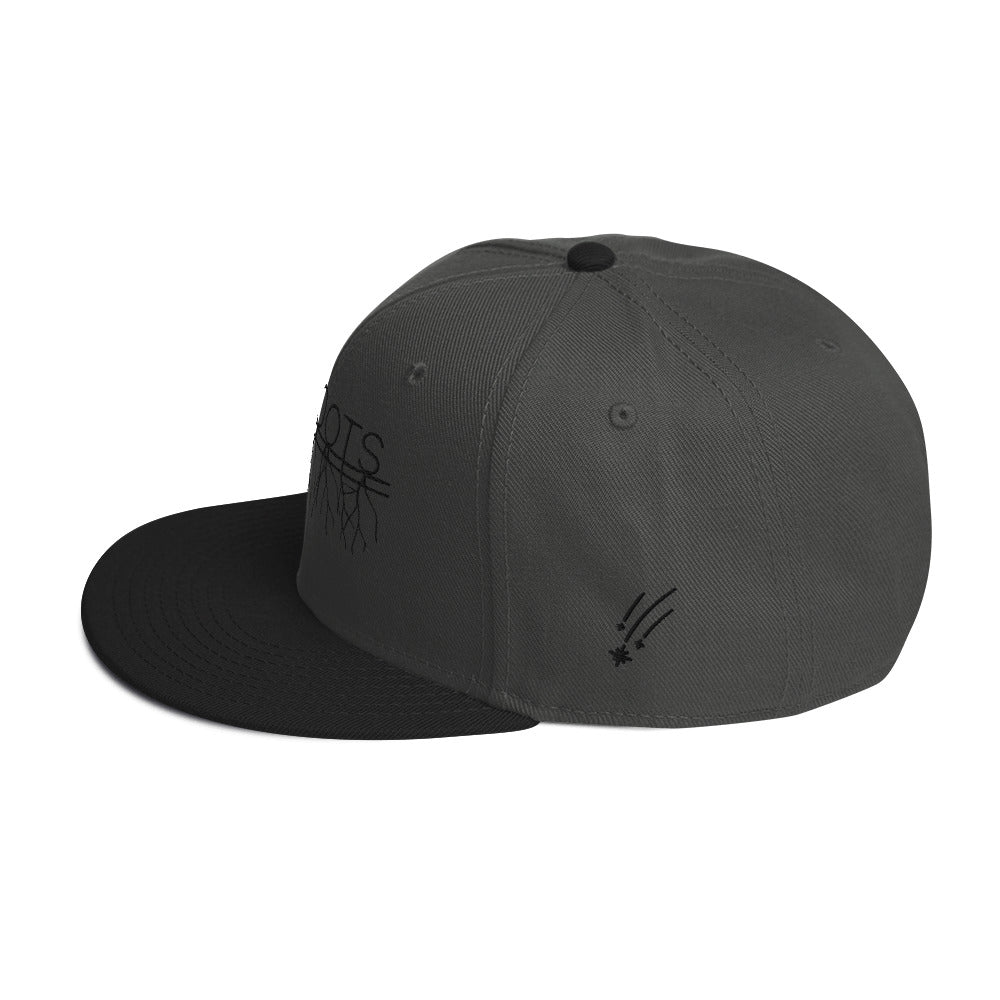 NovaRoots Multidesign Snapback Hat