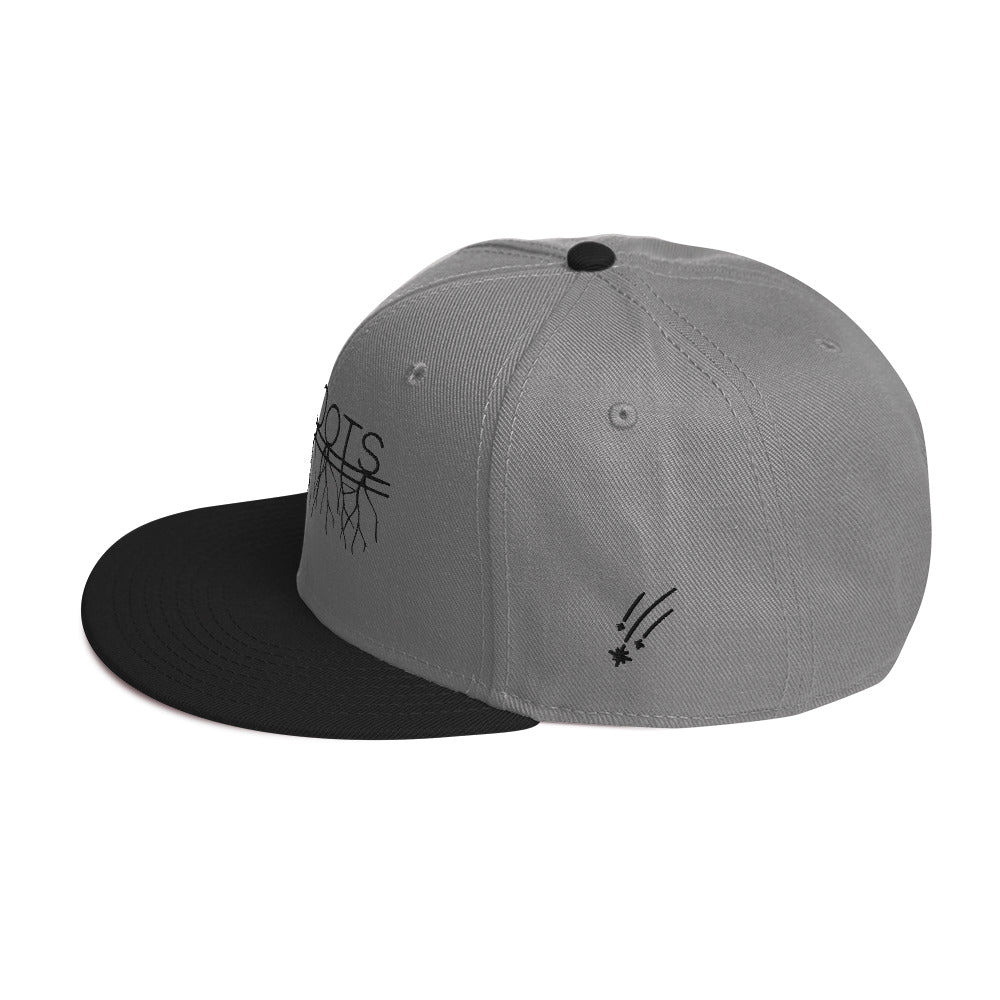 NovaRoots Multidesign Snapback Hat