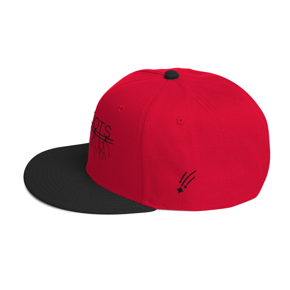 NovaRoots Multidesign Snapback Hat