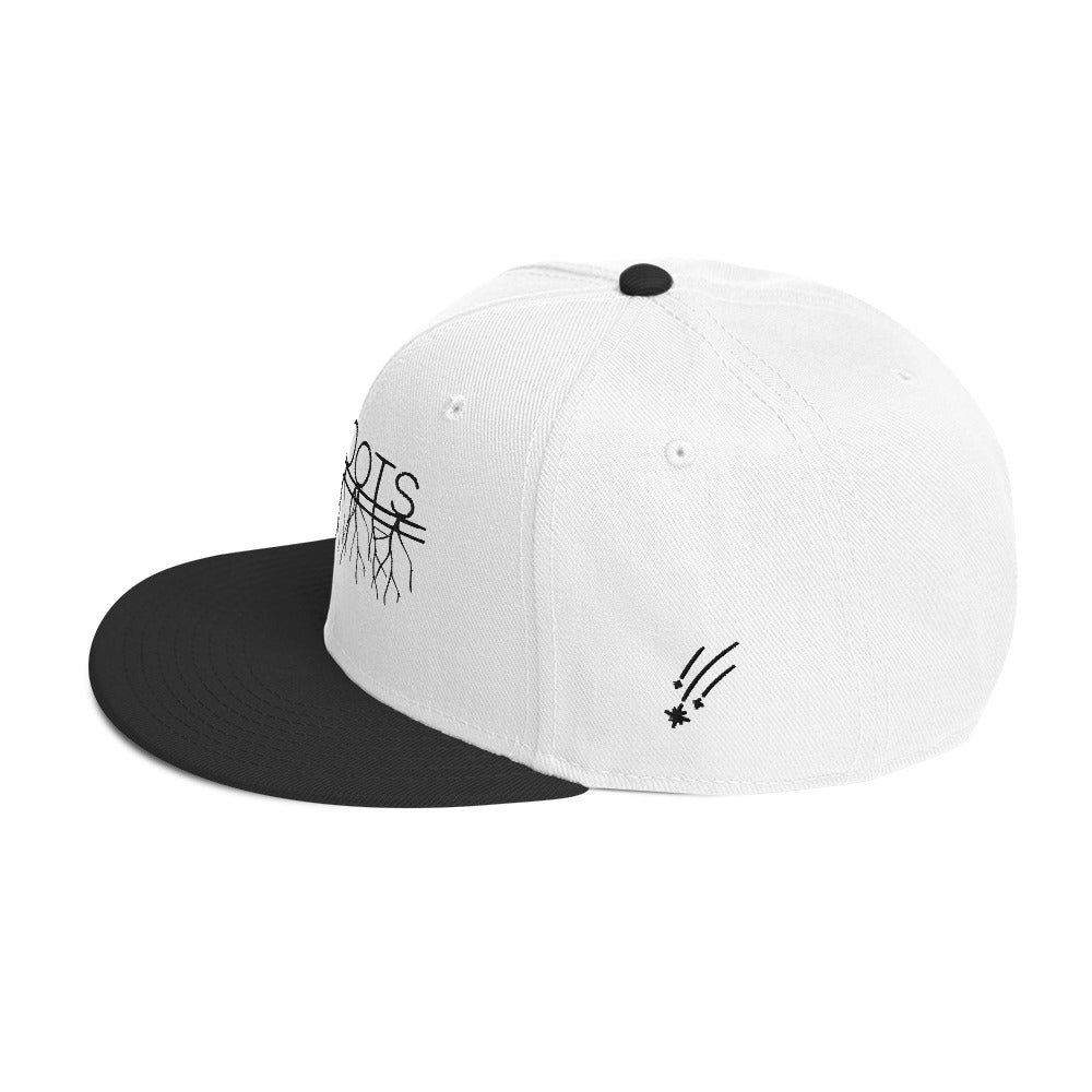 NovaRoots Multidesign Snapback Hat