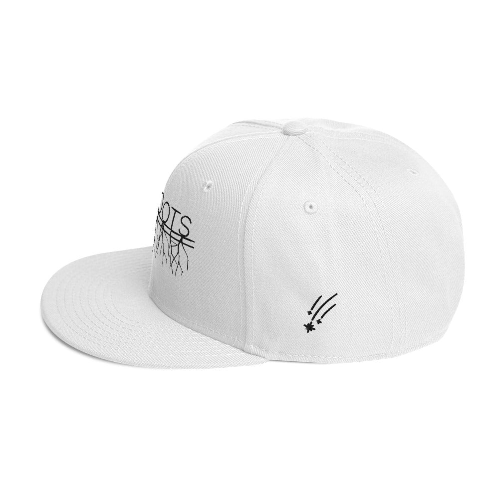 NovaRoots Multidesign Snapback Hat